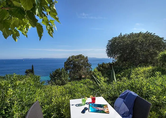 Hotel-club Du Domaine D'aiguebelle, Ussim Hotell